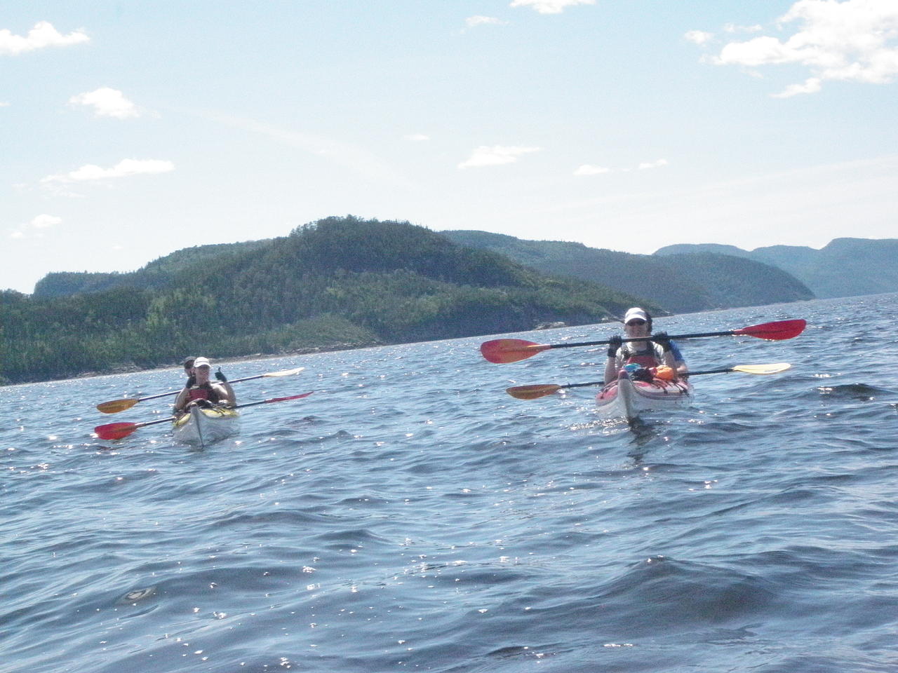 Le Fjord du Saguenay en kayak de mer
